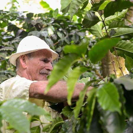 San Ramón Batsu Ecolodge & Coffee Farm المظهر الخارجي الصورة