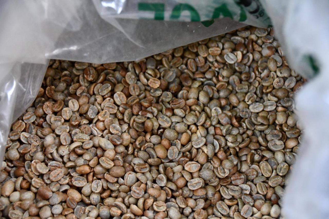San Ramón Batsu Ecolodge & Coffee Farm المظهر الخارجي الصورة