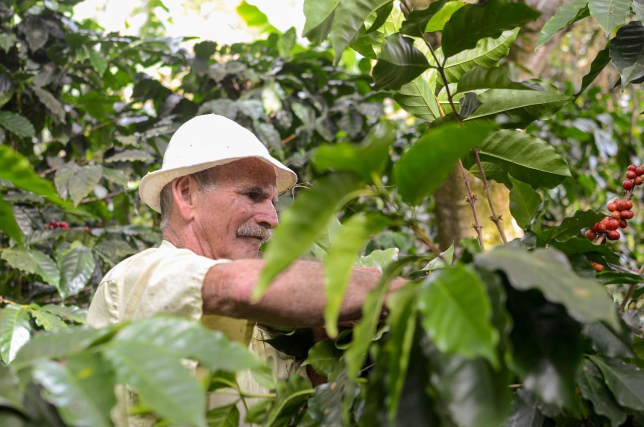 San Ramón Batsu Ecolodge & Coffee Farm المظهر الخارجي الصورة