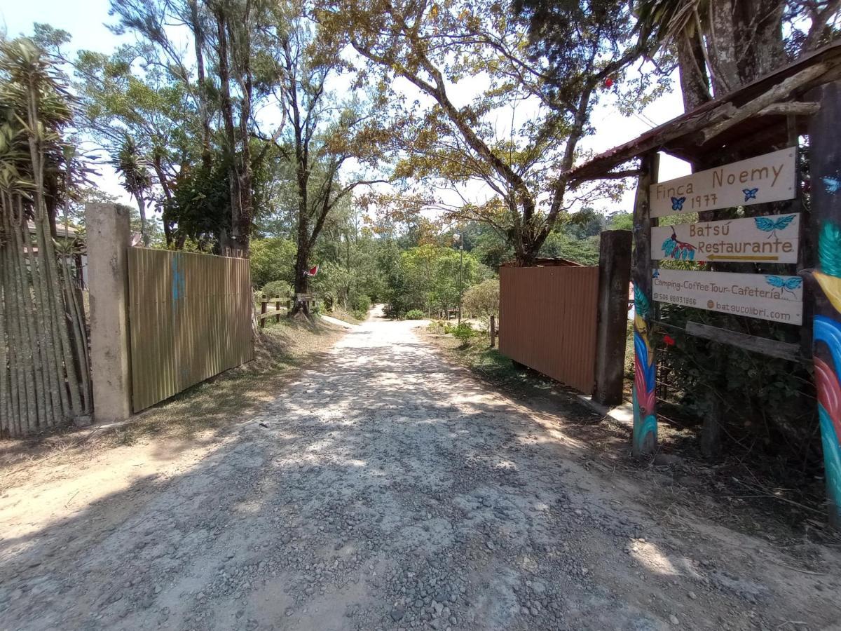 San Ramón Batsu Ecolodge & Coffee Farm المظهر الخارجي الصورة