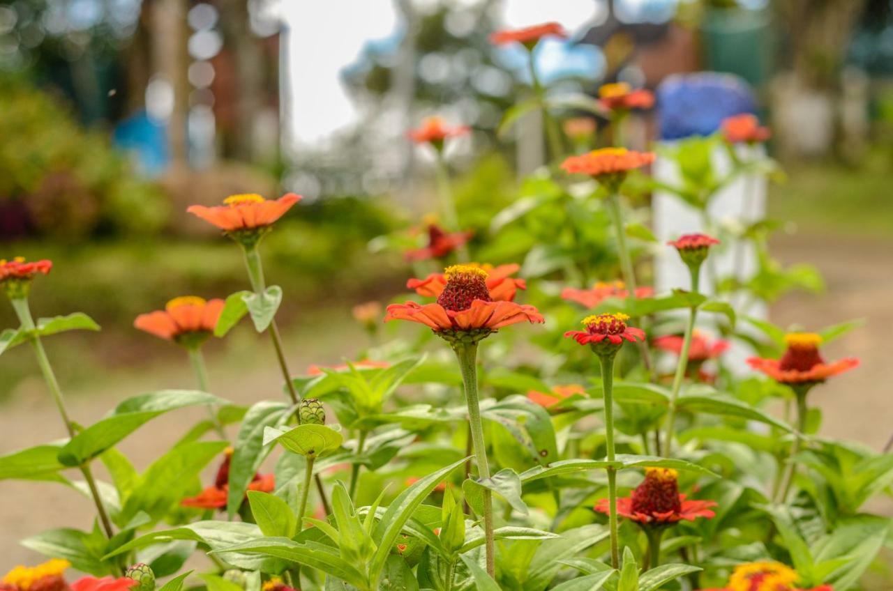 San Ramón Batsu Ecolodge & Coffee Farm المظهر الخارجي الصورة